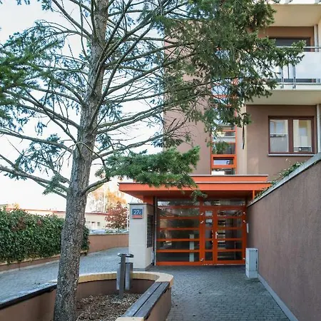 Seashell Bocianie Gniazdo *