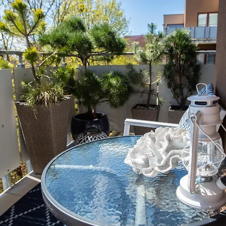 Seashell Bocianie Gniazdo *