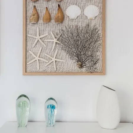 Seashell Bocianie Gniazdo 公寓 *