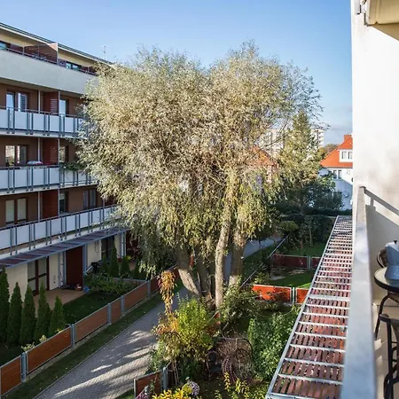 Seashell Bocianie Gniazdo * Kolobřeh