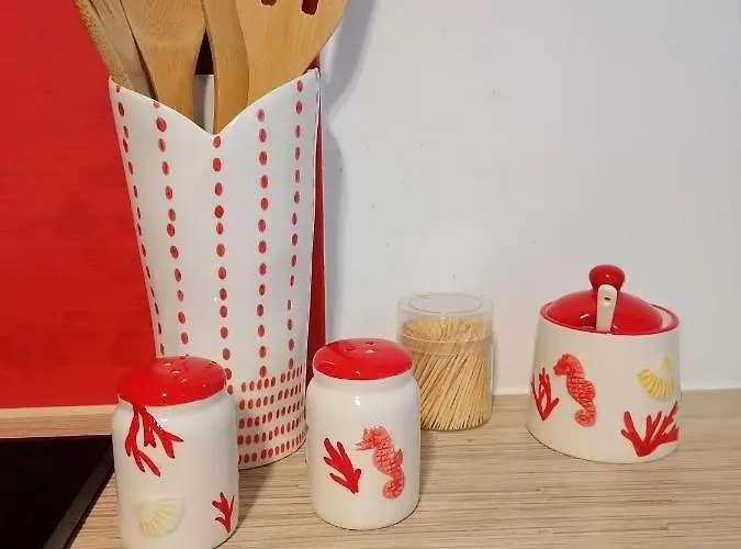 Seashell Bocianie Gniazdo Kolobřeh