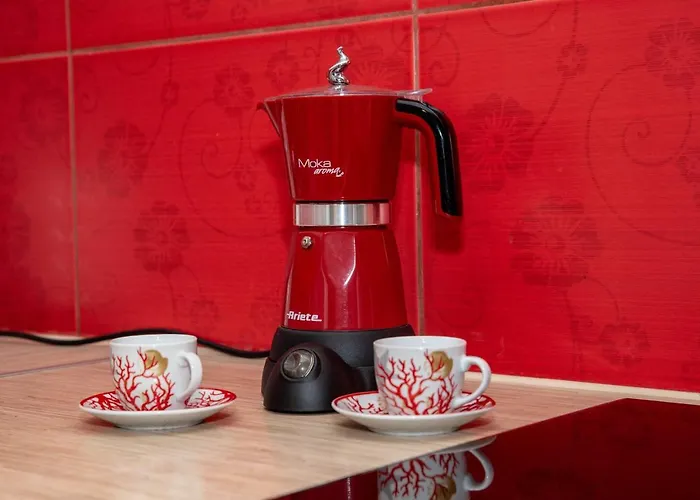 Seashell Bocianie Gniazdo