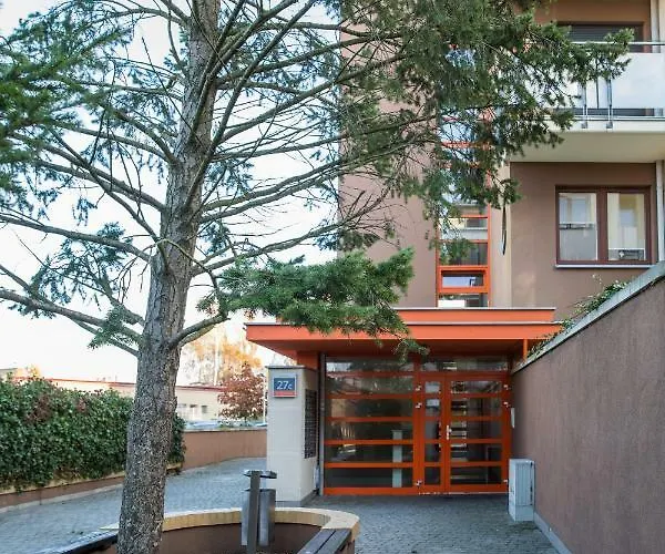 Seashell Bocianie Gniazdo *