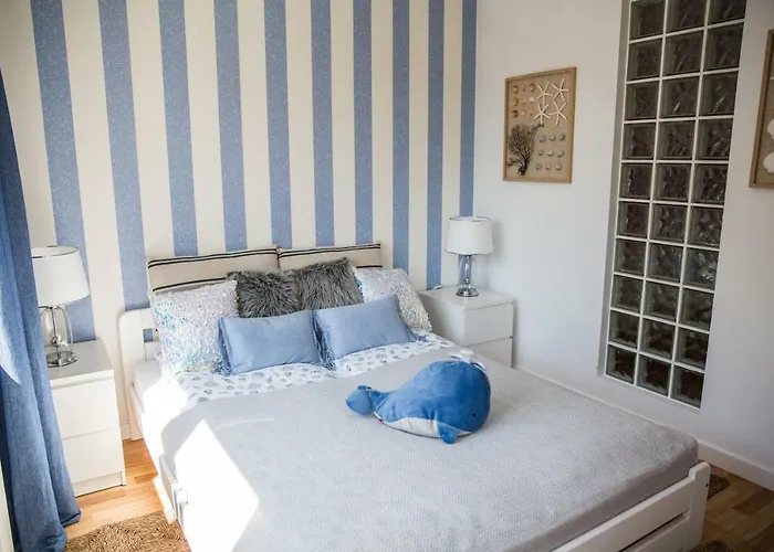 Seashell Bocianie Gniazdo Kolobřeh